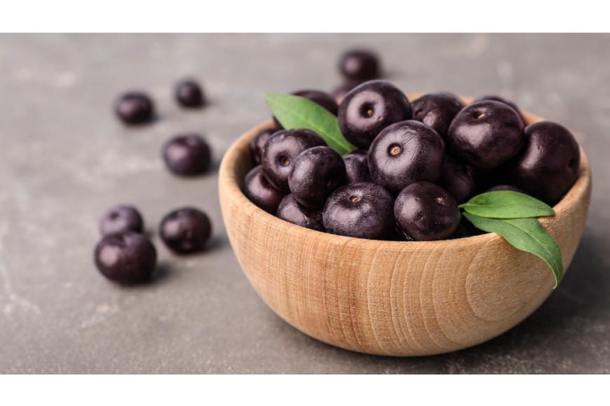 Programa ABIAC Permanente e Contínuo de Controle da Pureza do Açaí